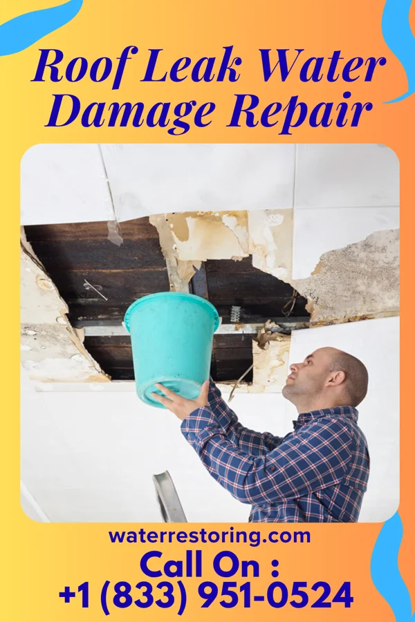 Roof Leak Water Damage Repair in Warrenton, GA